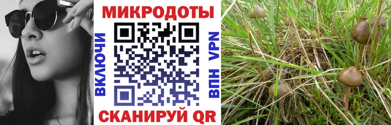 Купить  Красноуфимск  Галлюциногенные грибы мицелий 